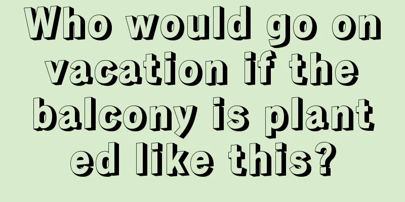 Who would go on vacation if the balcony is planted like this?