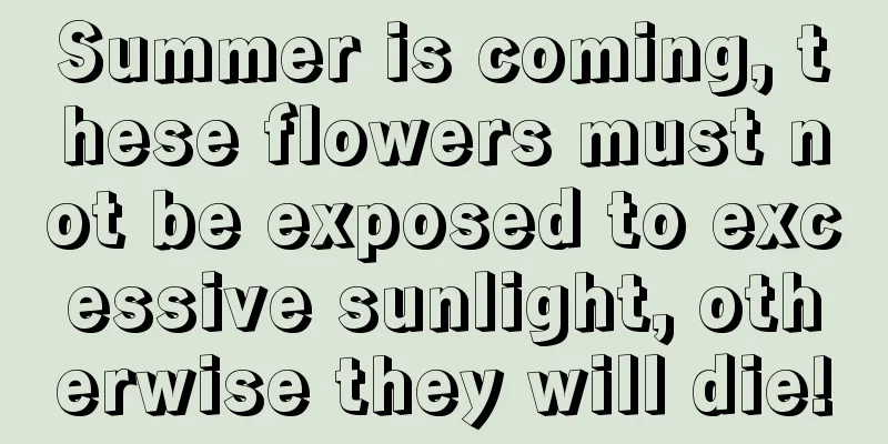 Summer is coming, these flowers must not be exposed to excessive sunlight, otherwise they will die!