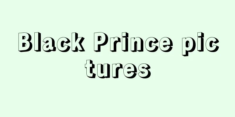 Black Prince pictures