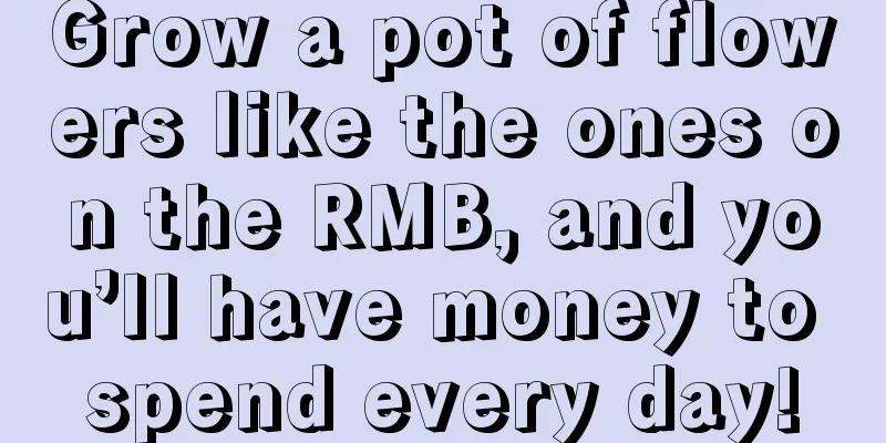 Grow a pot of flowers like the ones on the RMB, and you’ll have money to spend every day!