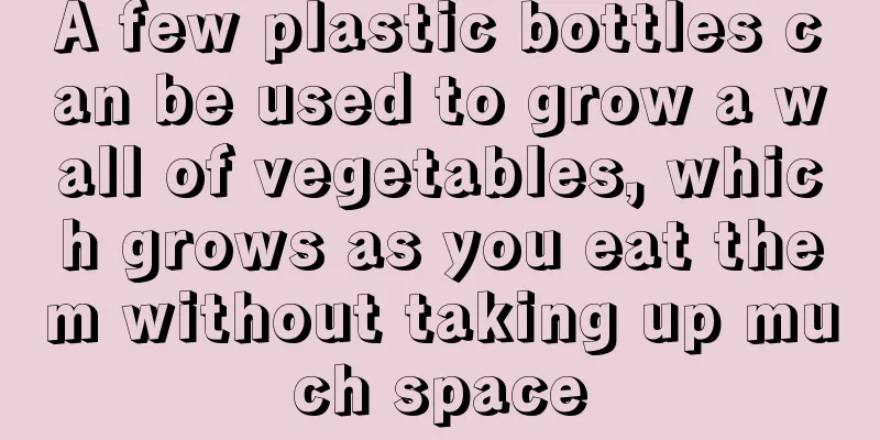 A few plastic bottles can be used to grow a wall of vegetables, which grows as you eat them without taking up much space