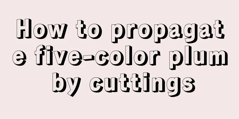 How to propagate five-color plum by cuttings