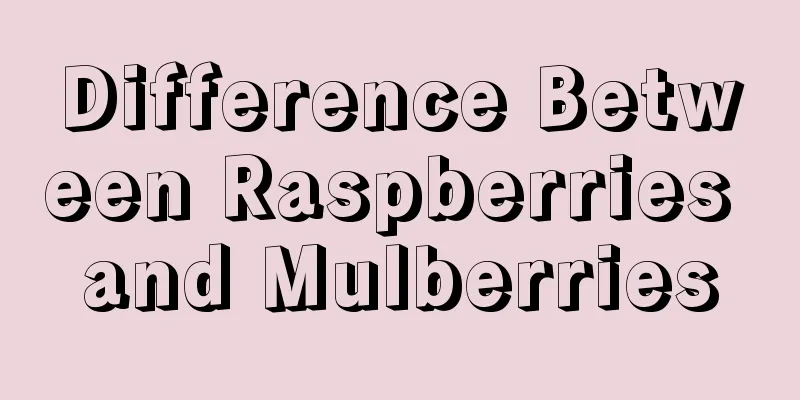 Difference Between Raspberries and Mulberries