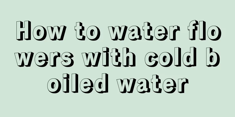 How to water flowers with cold boiled water