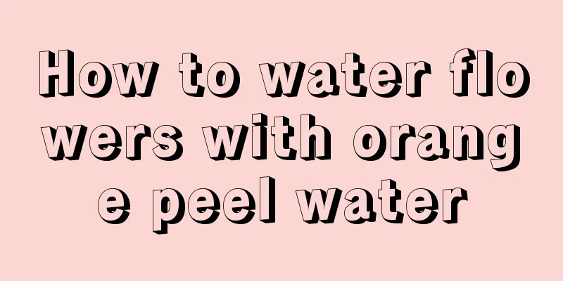 How to water flowers with orange peel water