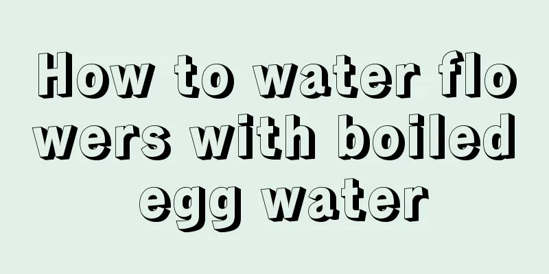 How to water flowers with boiled egg water