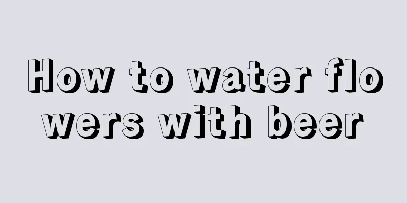 How to water flowers with beer