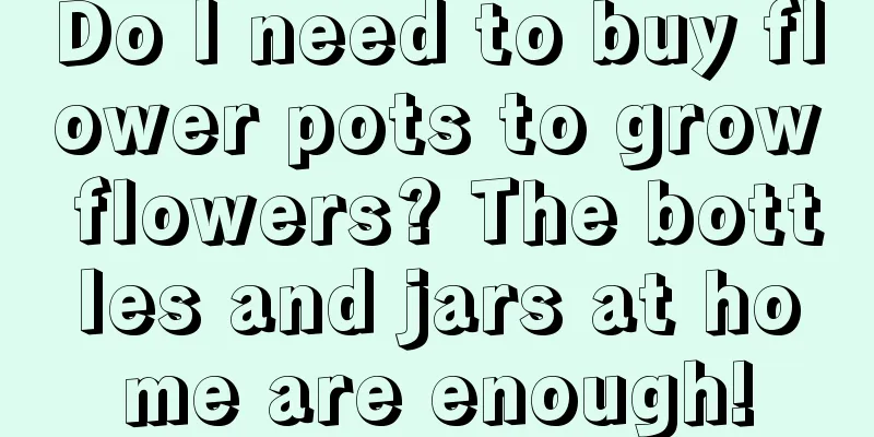 Do I need to buy flower pots to grow flowers? The bottles and jars at home are enough!