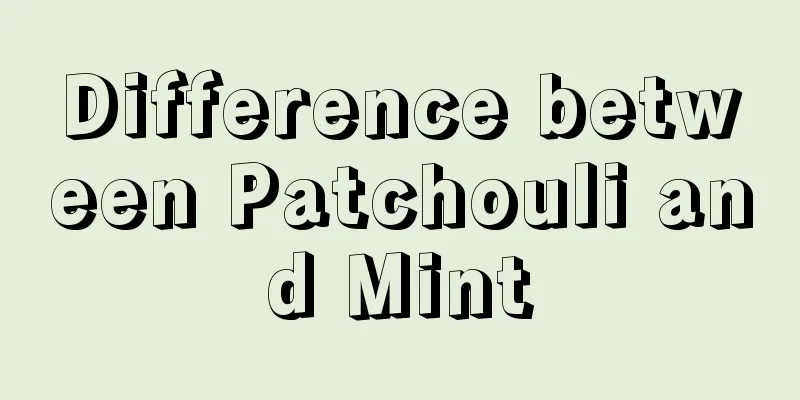 Difference between Patchouli and Mint