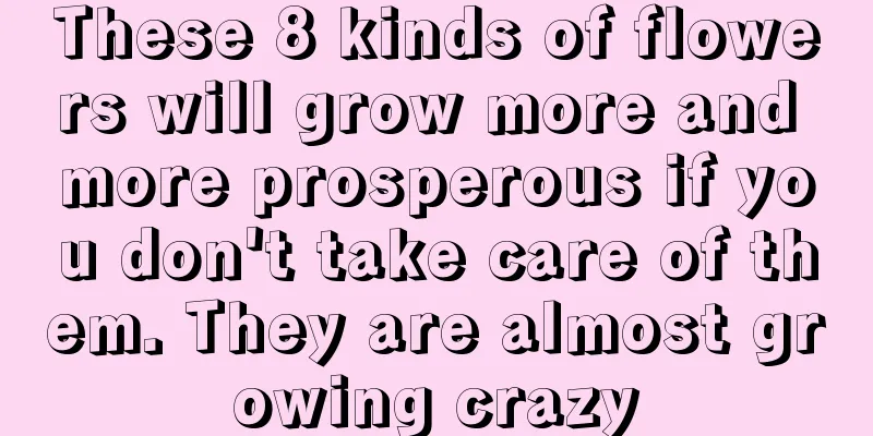 These 8 kinds of flowers will grow more and more prosperous if you don't take care of them. They are almost growing crazy