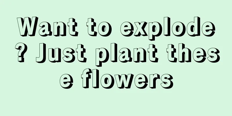 Want to explode? Just plant these flowers