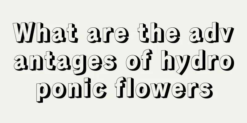 What are the advantages of hydroponic flowers