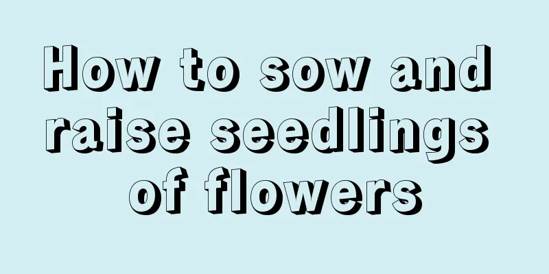 How to sow and raise seedlings of flowers