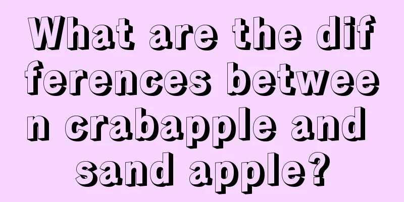 What are the differences between crabapple and sand apple?