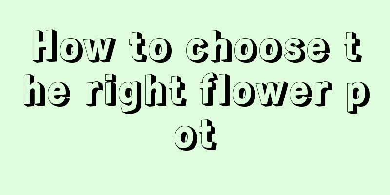 How to choose the right flower pot