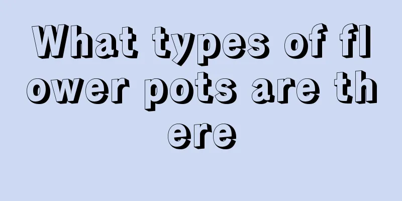 What types of flower pots are there