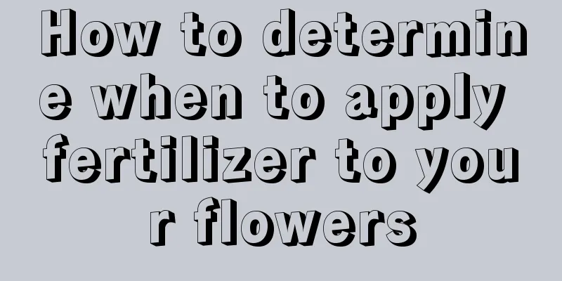 How to determine when to apply fertilizer to your flowers