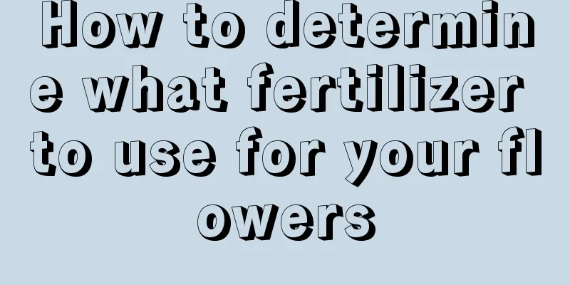 How to determine what fertilizer to use for your flowers