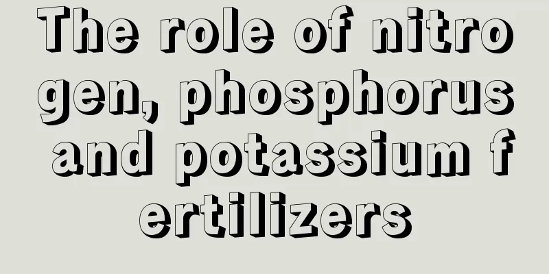 The role of nitrogen, phosphorus and potassium fertilizers