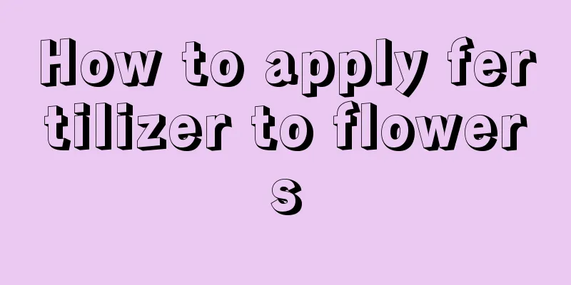 How to apply fertilizer to flowers