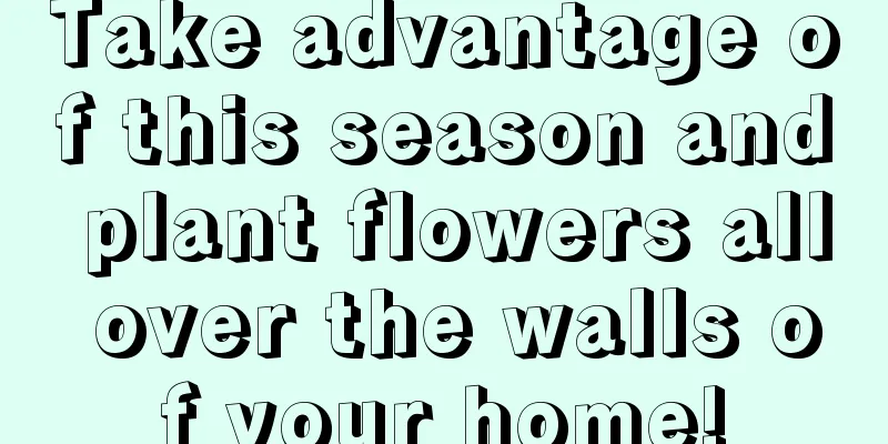 Take advantage of this season and plant flowers all over the walls of your home!