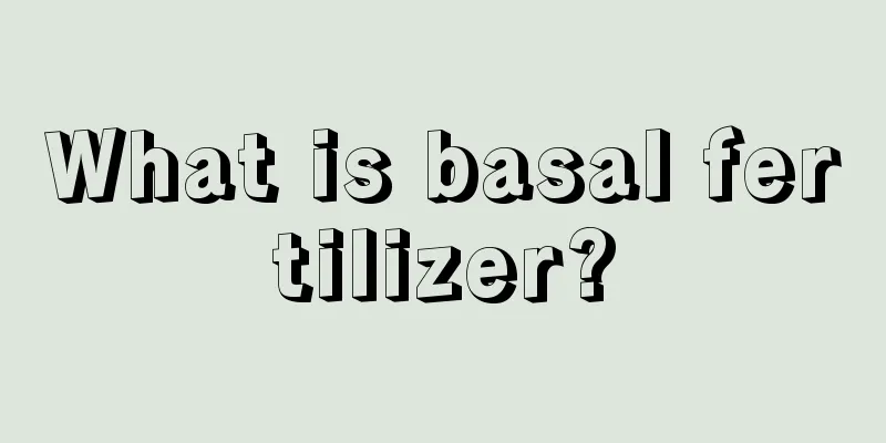 What is basal fertilizer?