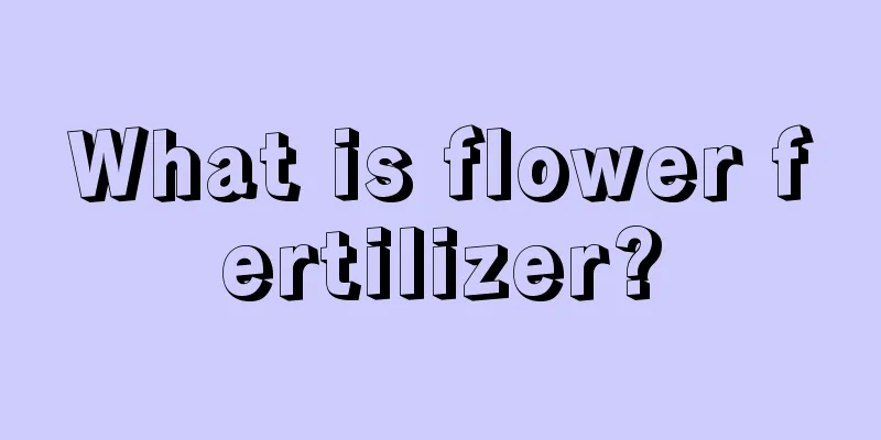 What is flower fertilizer?