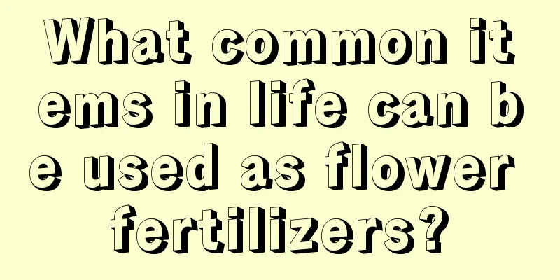 What common items in life can be used as flower fertilizers?