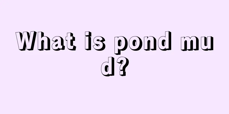 What is pond mud?