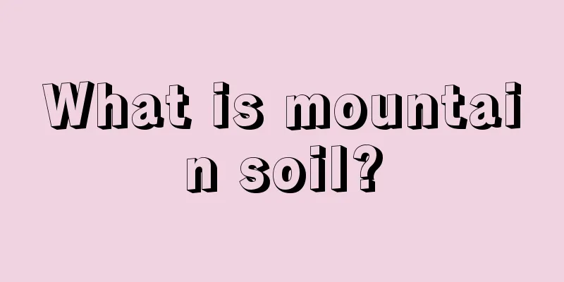 What is mountain soil?