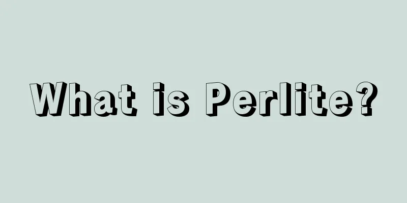 What is Perlite?