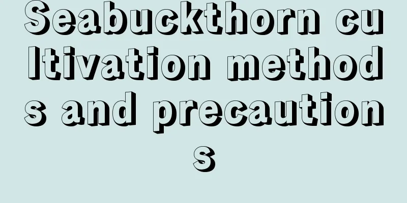 Seabuckthorn cultivation methods and precautions