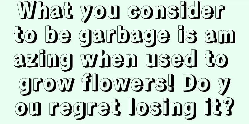 What you consider to be garbage is amazing when used to grow flowers! Do you regret losing it?