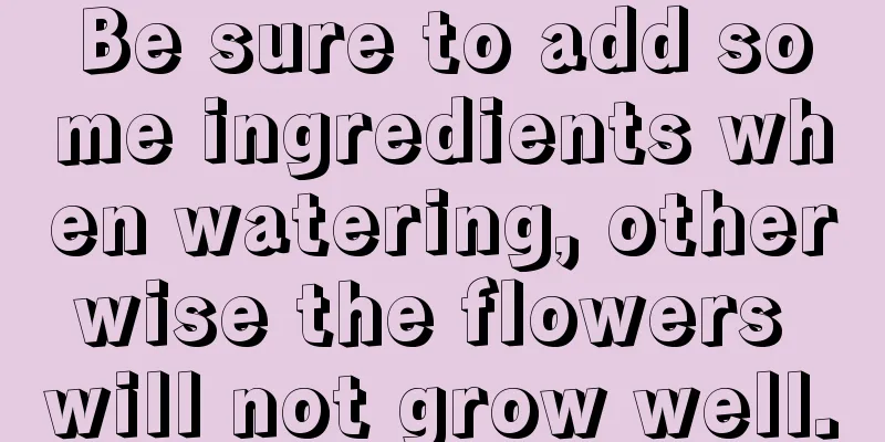 Be sure to add some ingredients when watering, otherwise the flowers will not grow well.