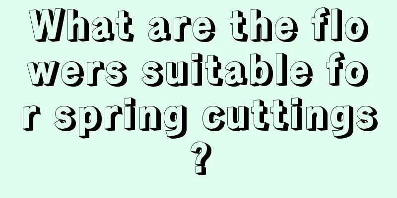 What are the flowers suitable for spring cuttings?