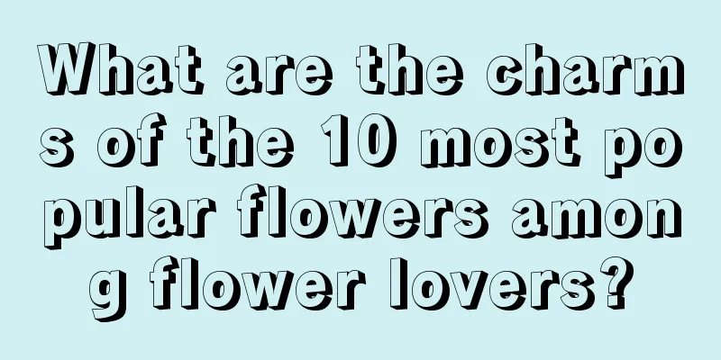 What are the charms of the 10 most popular flowers among flower lovers?