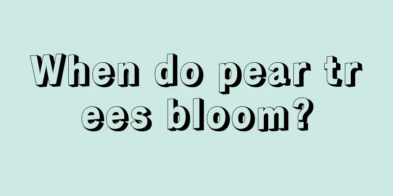 When do pear trees bloom?