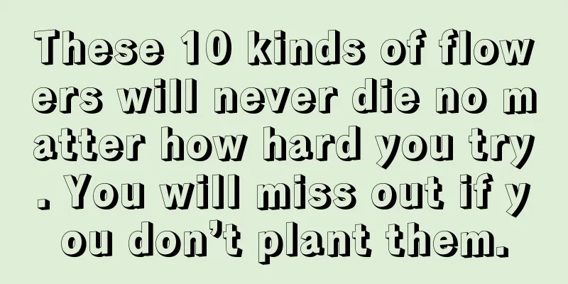 These 10 kinds of flowers will never die no matter how hard you try. You will miss out if you don’t plant them.