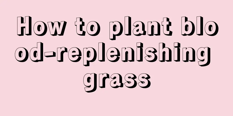 How to plant blood-replenishing grass