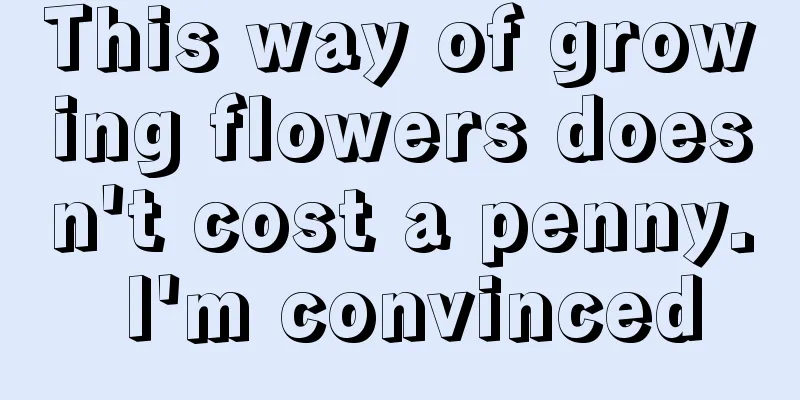 This way of growing flowers doesn't cost a penny. I'm convinced