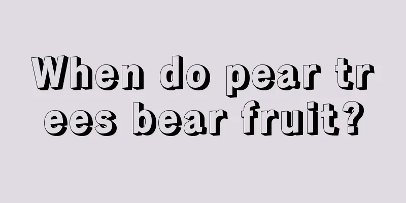 When do pear trees bear fruit?