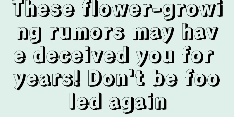 These flower-growing rumors may have deceived you for years! Don't be fooled again