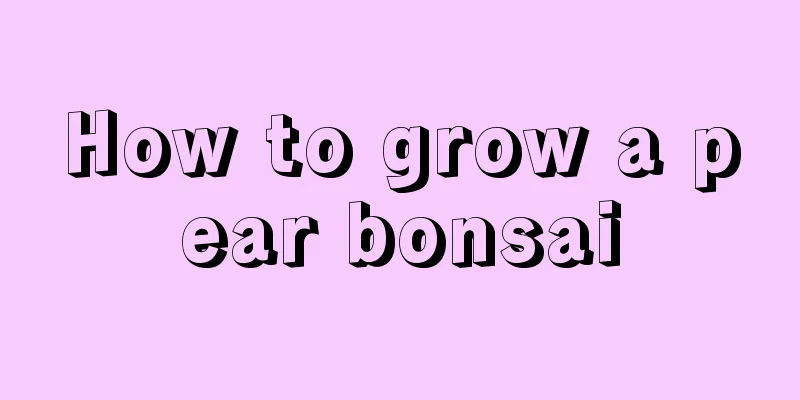 How to grow a pear bonsai