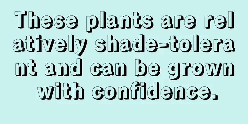 These plants are relatively shade-tolerant and can be grown with confidence.