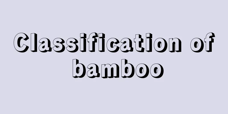 Classification of bamboo