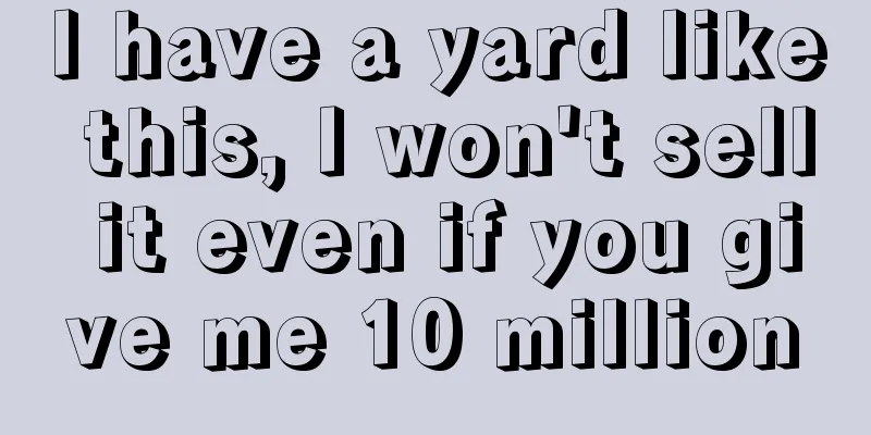 I have a yard like this, I won't sell it even if you give me 10 million