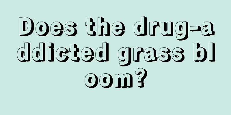 Does the drug-addicted grass bloom?