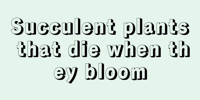 Succulent plants that die when they bloom