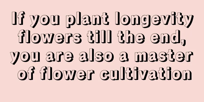 If you plant longevity flowers till the end, you are also a master of flower cultivation