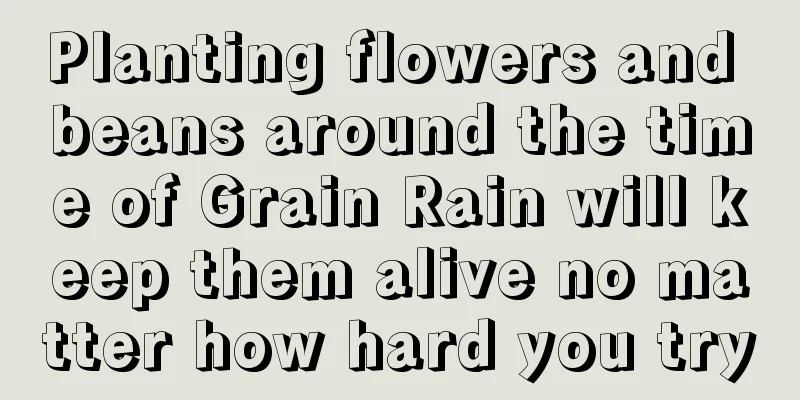 Planting flowers and beans around the time of Grain Rain will keep them alive no matter how hard you try